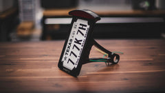 Vertical License Plate Mount + LED Tail Light Combo