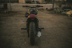 Triumph Vertical License Plate Mount | Axle Fit