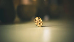 Sugar Skull Magnet & Pin
