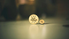 Bolt Magnet & Pin