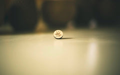 Bolt Magnet & Pin