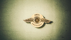 Wings Magnet & Pin